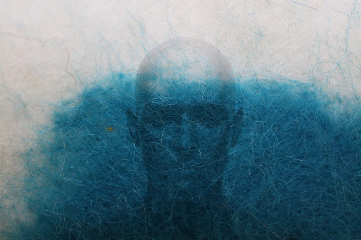 Kunstwerk Mensch 2019 kim Kluge Filz print on canvas